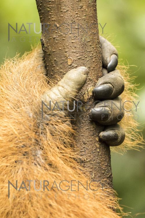 Yetuk ayol anal jinsiy aloqa video onlayn