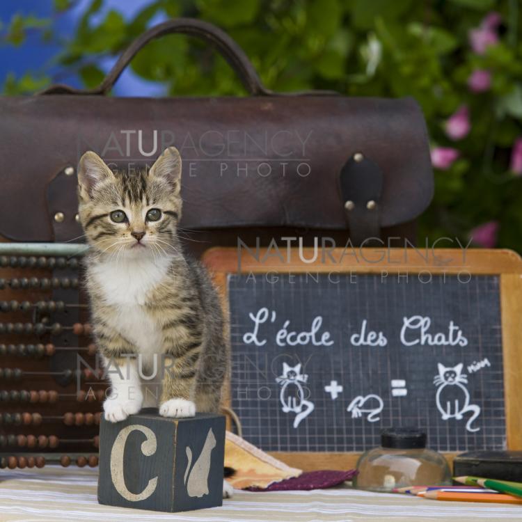 Naturagency Reportage Un Peu D Humour Et De Tendresse Naturagency Reportage Un Peu D Humour Et De Tendresse